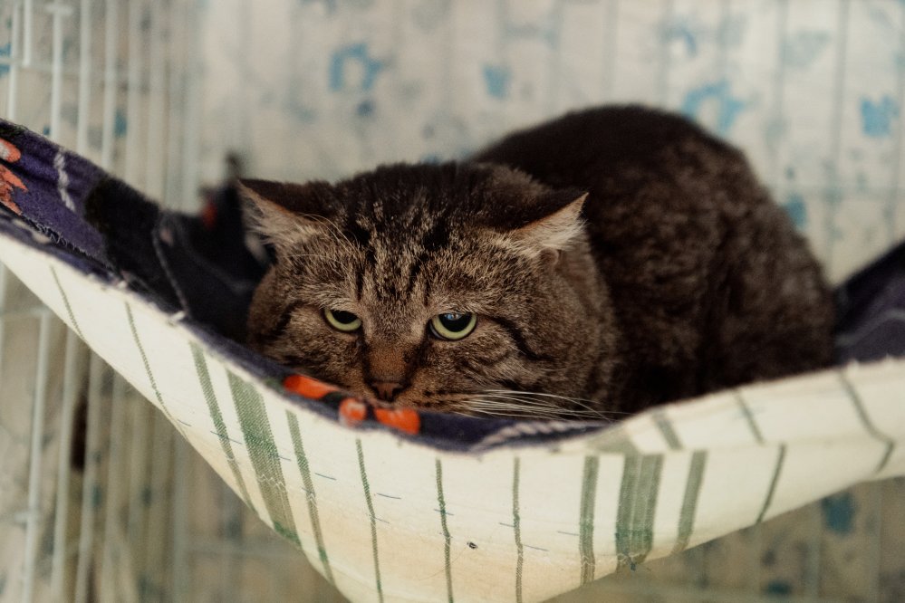 Семен Семенович